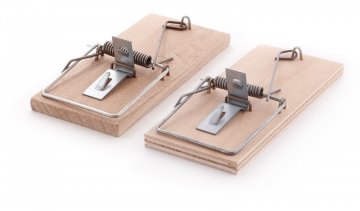 Dřevěné pasti na hlodavce: Tradiční metoda s kontroverzí