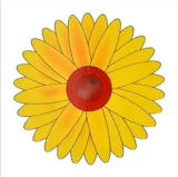 Žlutá květina