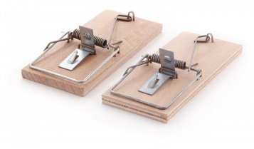 Dřevěné pasti na hlodavce: Tradiční metoda s kontroverzí