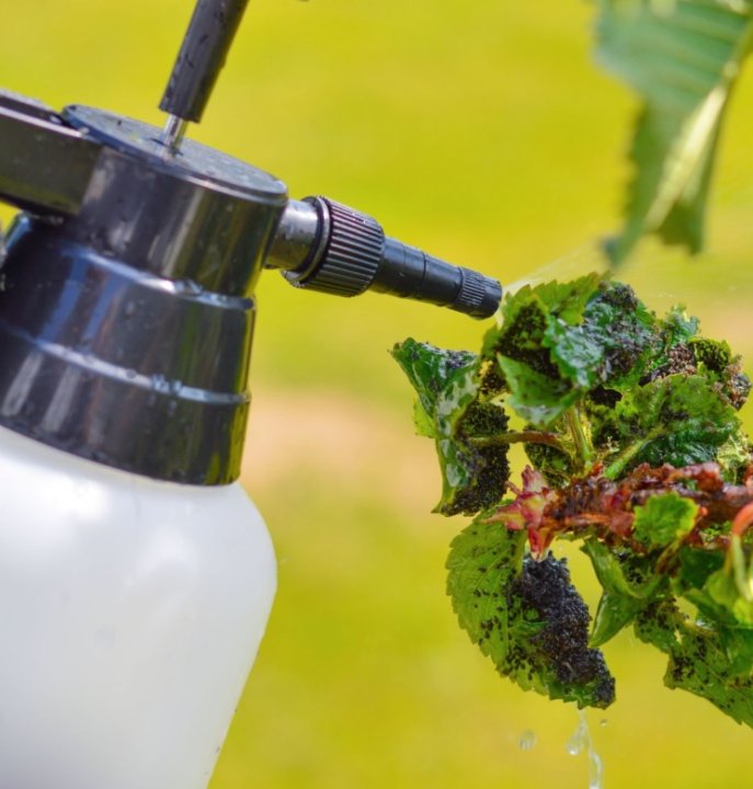 Bezpečné a účinné insekticidy pro každodenní použití