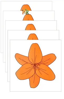 Hmyzak-Off okenní mucholapka 5ks - Barva: Žlutá květina