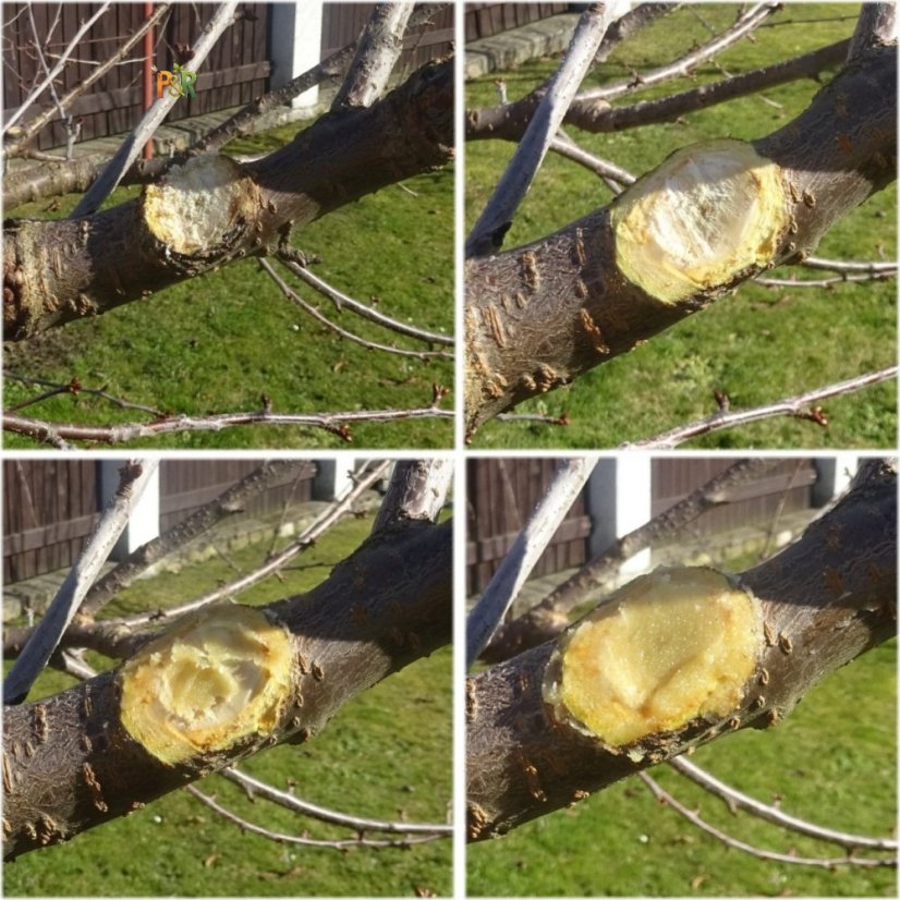 Štěpařský vosk v tubě 135g