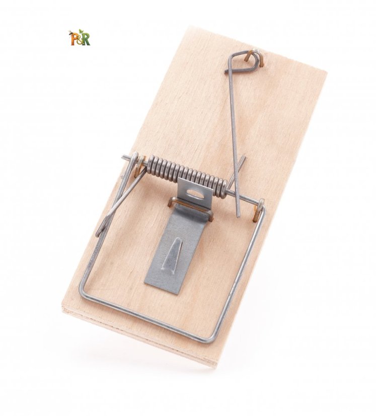 Pastička na myši dřevěná buková