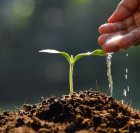 Přípravky na přírodní bázi