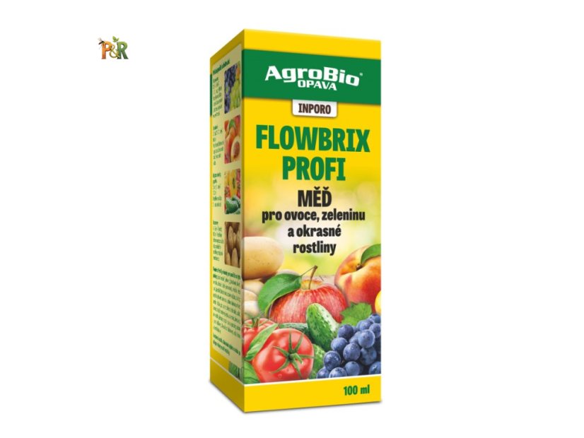 INPORO Flowbrix Profi 100ml