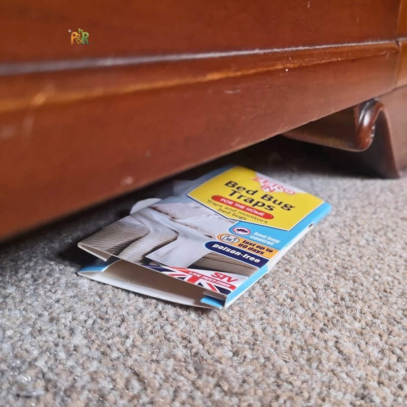 Zero In - Monitory na štěnice Zero In 5 ks