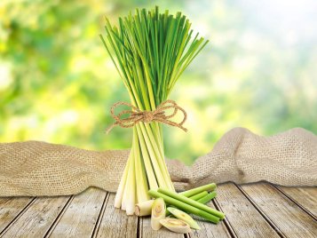 Co je vlastně ta Citronella?