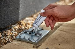 The Big Cheese Návnada na hlodavce STV163