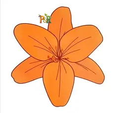 Hmyzak-Off okenní mucholapka 5ks - Barva: Žlutá květina