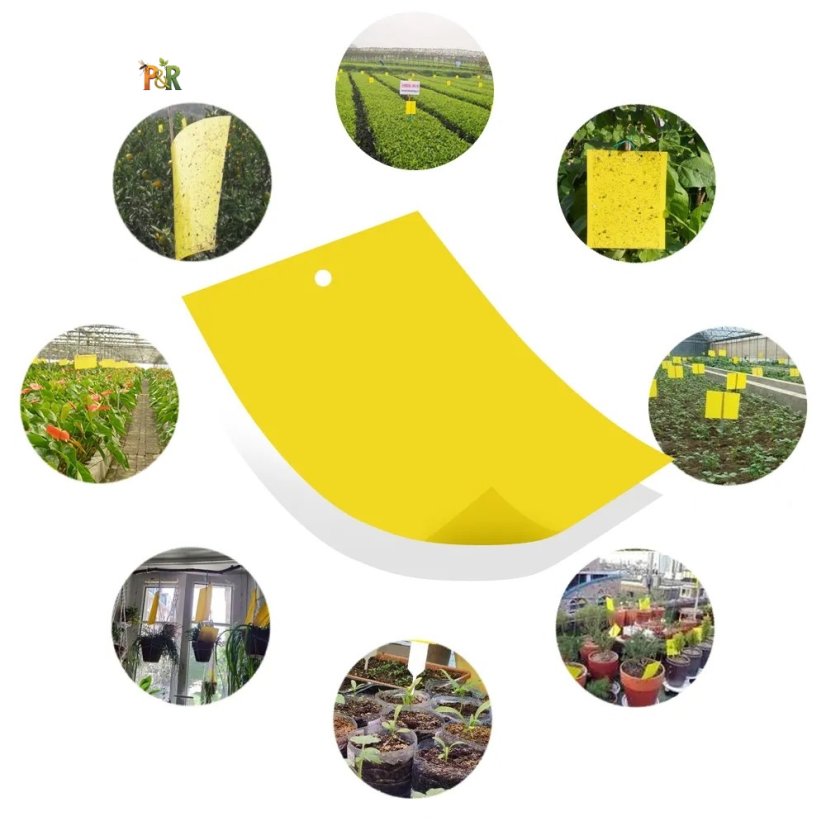 Hmyzák-off - Lepové desky k ochraně rostlin a stromů 10ks - žluté