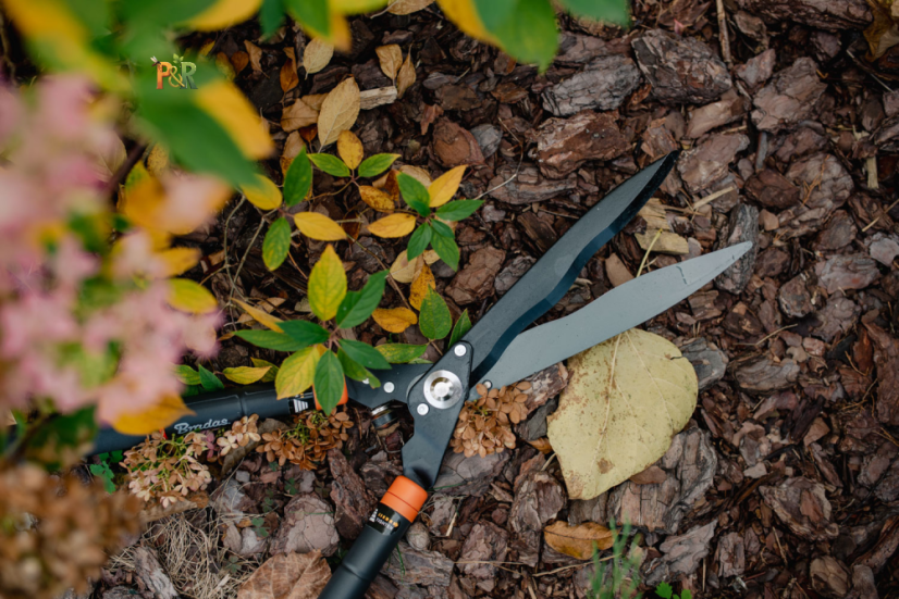 Teleskopické nůžky na živý plot řady V s vlnitou čepelí