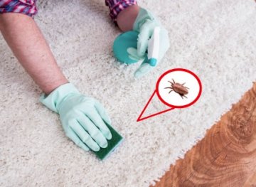 Proti blechám - TOP produkt