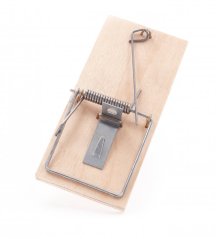 Pastička na myši dřevěná buková