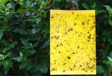 Lepové desky a pásy - Propher