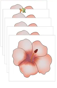 Hmyzak-Off okenní mucholapka 5ks - Barva: Žlutá květina