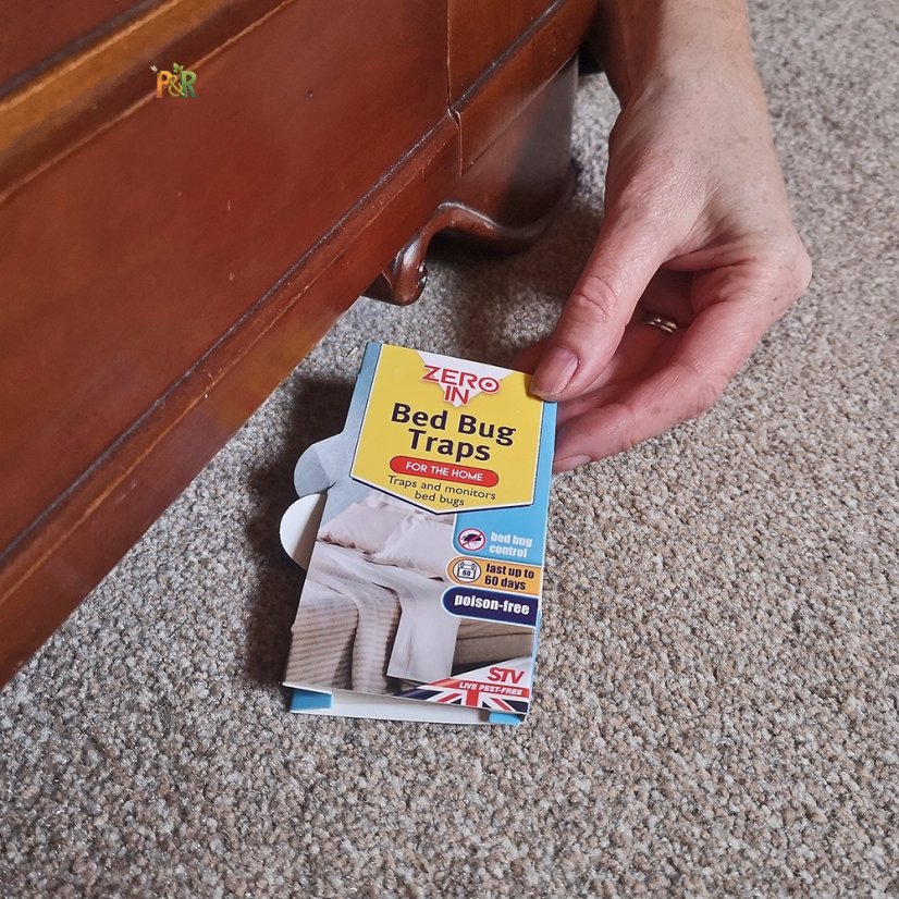 Zero In - Monitory na štěnice Zero In 5 ks