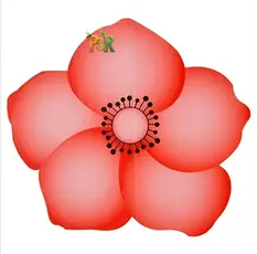 Hmyzak-Off okenní mucholapka 5ks - Barva: Žlutá květina