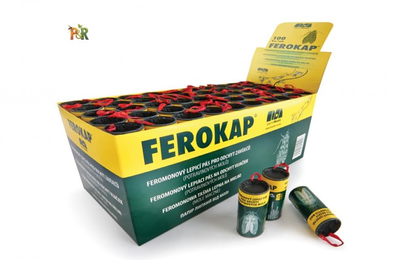 Mololapka na potravinové moly FEROKAP (1 ks) – Klasický lepový pás