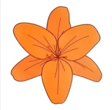 Oranžová Květina