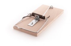 Past na krysy dřevěná buková