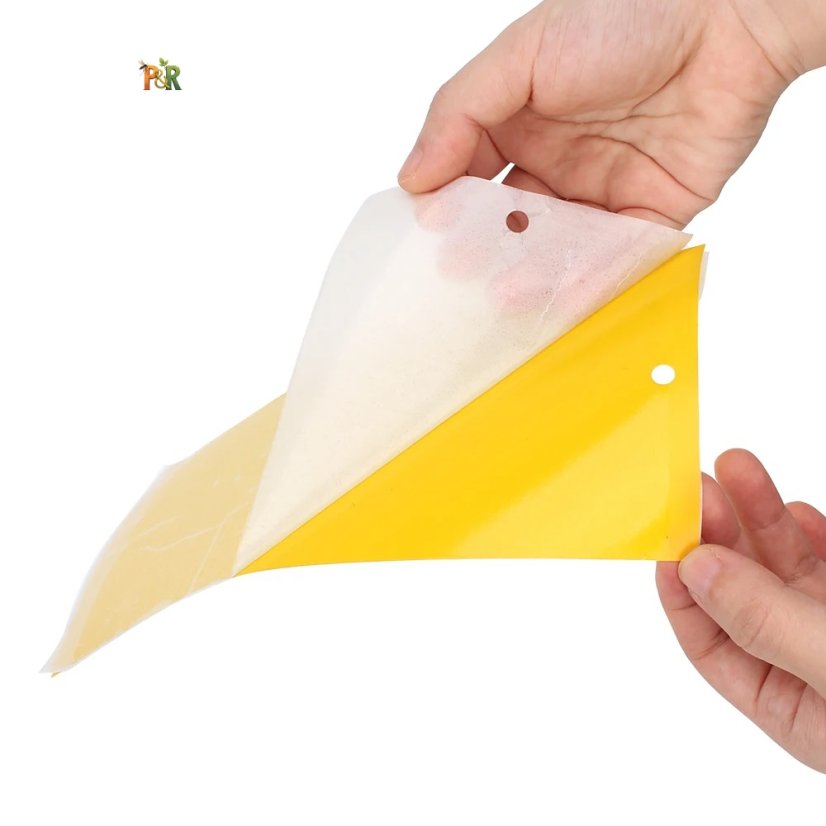 Hmyzák-off - Lepové desky k ochraně rostlin a stromů 10ks - žluté