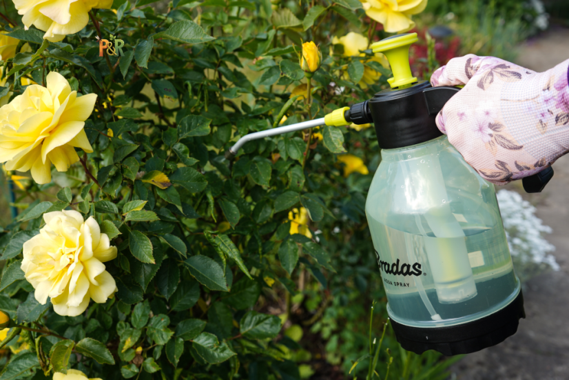 Tlakový postřikovač AQUA SPRAY 2 l (Clear) – Pro pohodlnou aplikaci