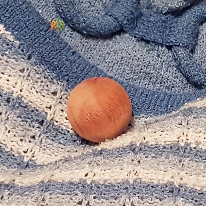 Kuličky z cedrového dřeva Zero In (20 ks) – Přírodní ochrana proti molům