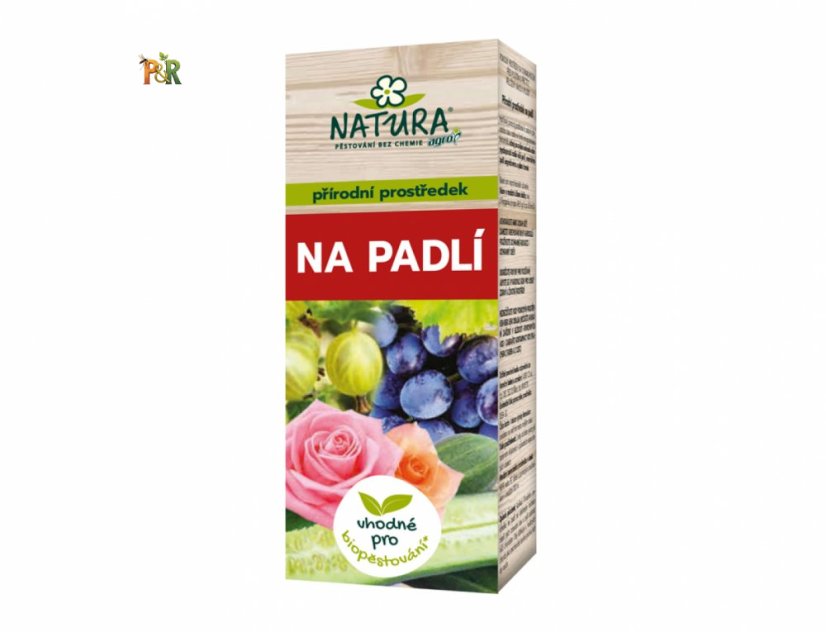 Padlí 100 ml