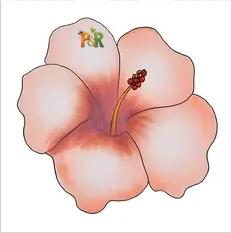 Hmyzak-Off okenní mucholapka 5ks - Barva: Žlutá květina