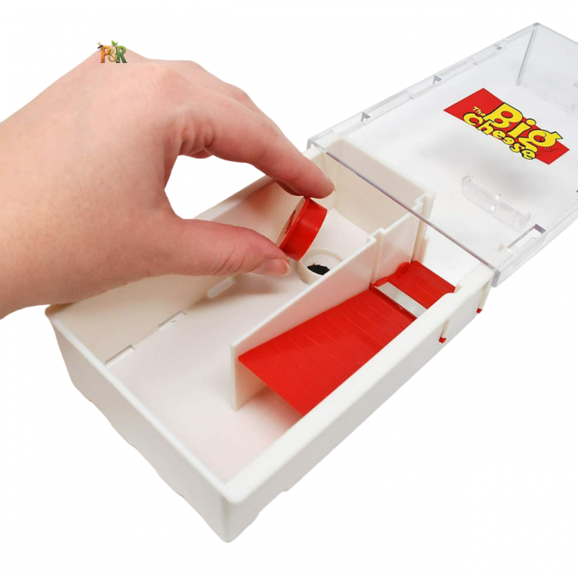 The Big Cheese Živolovná past na myši STV162