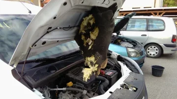 Prostředky proti kunám - Forestina