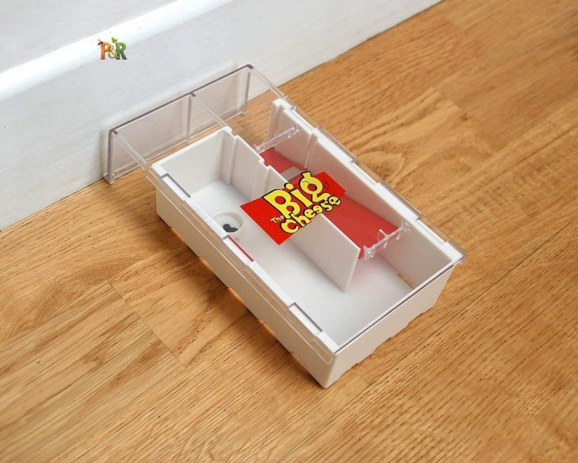 The Big Cheese Živolovná past na myši STV162