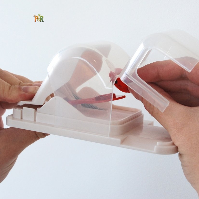 The Big Cheese Past na myši s ochranným krytem STV157